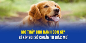 Mơ Thấy Chó Đánh Con Gì? Bí Kíp Soi Số Chuẩn Từ Giấc Mơ