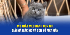 Mơ Thấy Mèo Đánh Con Gì? Giải Mã Giấc Mơ Và Con Số May Mắn