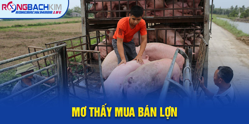 Mơ Thấy Mua Bán Lợn