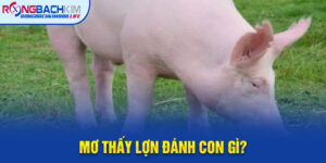 Mơ Thấy Lợn Đánh Con Gì? Giải Mã Chi Tiết Giấc Mơ Thấy Heo