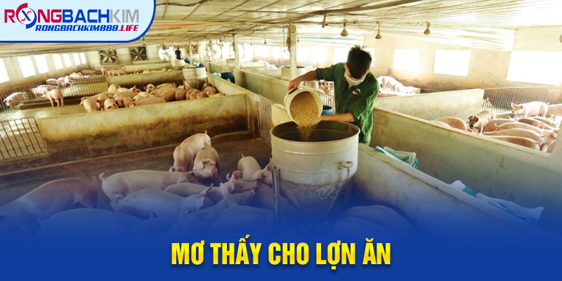 Mơ Thấy Cho Lợn Ăn