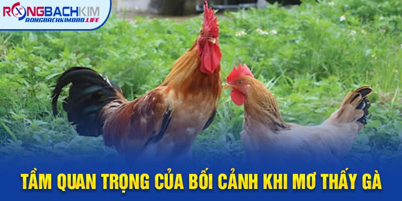 Tầm Quan Trọng Của Bối Cảnh và Cảm Xúc Trong Mơ