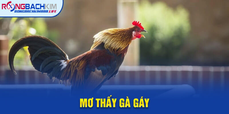 Mơ Thấy Gà Kêu, Gáy