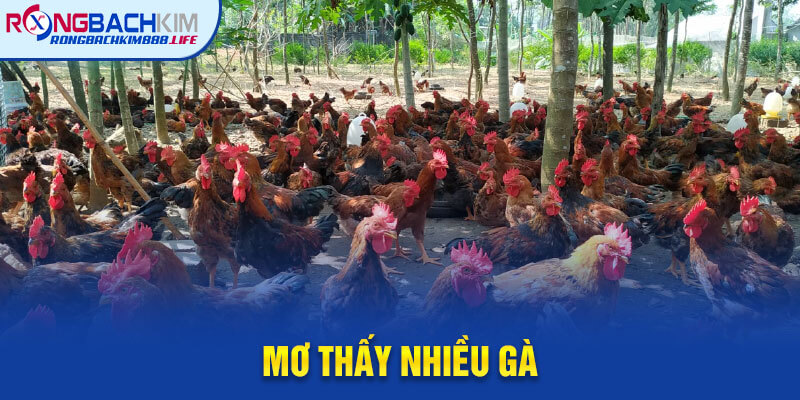 Mơ Thấy Nhiều Gà