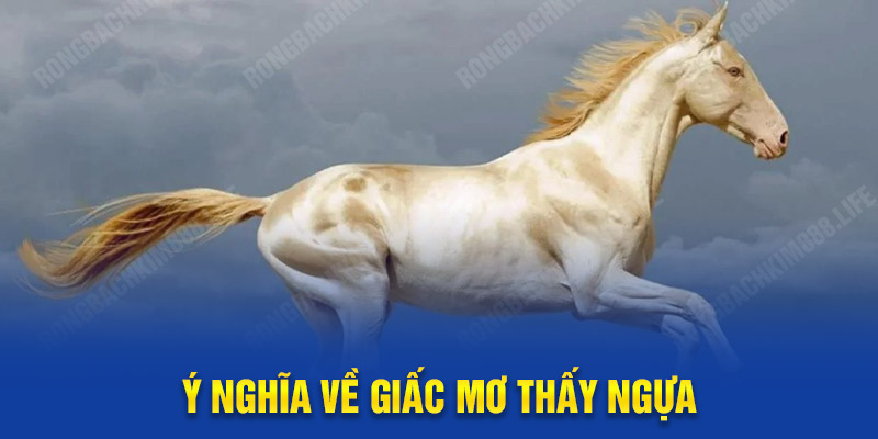 Ý nghĩa về giấc mơ thấy ngựa