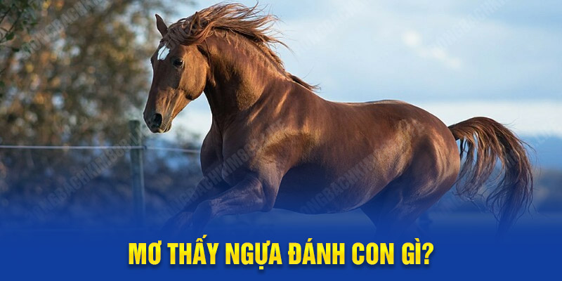 Mơ Thấy Ngựa Đánh Con Gì? Ý Nghĩa Giấc Mơ Và Cặp Số Tài Lộc